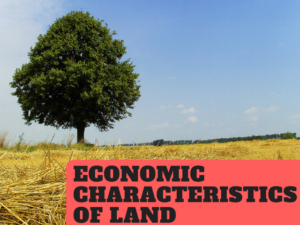 Economic Characteristics of Land