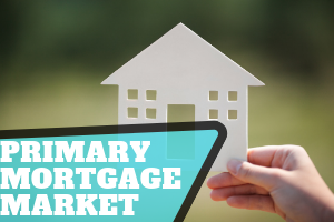 Primary Mortgage Market